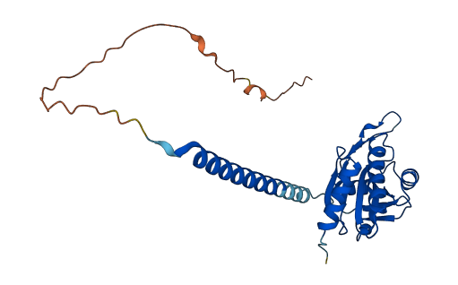 SCO2 3D structure