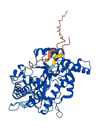 HYAL3 3D structure