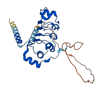 CFAP410 3D structure