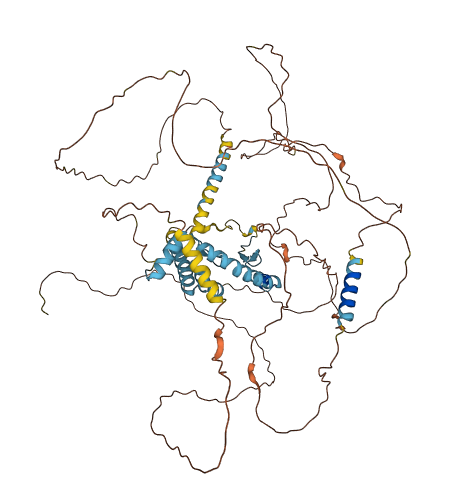 AKAP8 3D structure