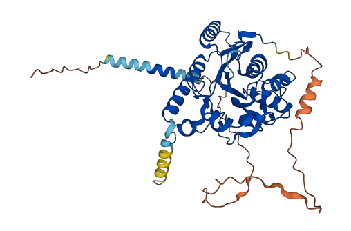 B3GALT2 3D structure