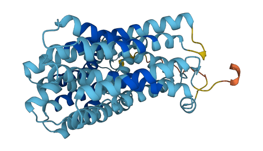 SLC37A4 3D structure