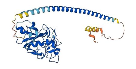 ANGPTL7 3D structure