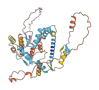 ZBTB14 3D structure