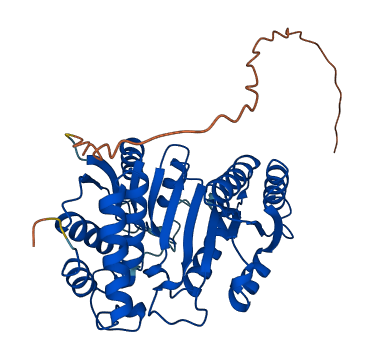 IDH3B 3D structure
