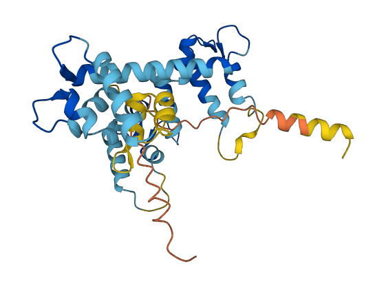 CALU 3D structure