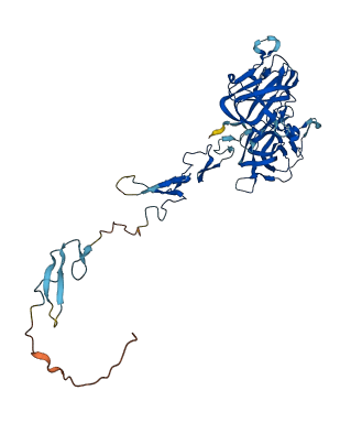 EDIL3 3D structure
