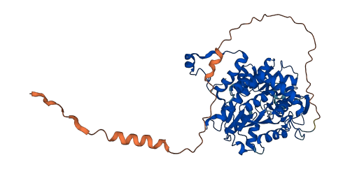 AHCYL1 3D structure