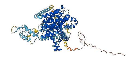 SLC28A2 3D structure