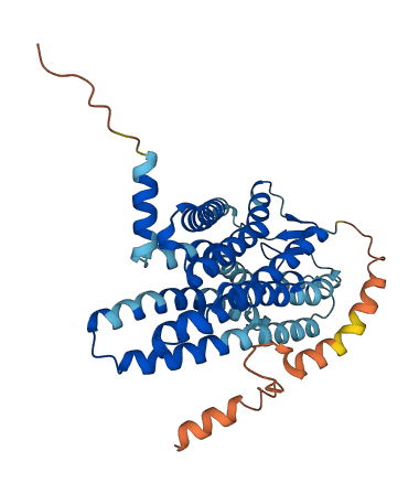 OR2T1 3D structure