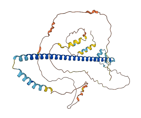 CREB3 3D structure