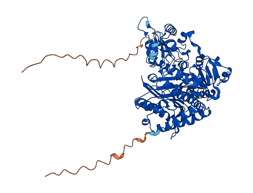 XPNPEP2 3D structure