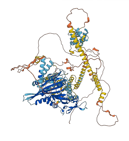 KIF1C 3D structure