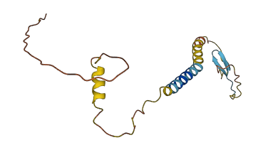 KLRC4 3D structure