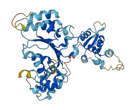 ORC5 3D structure
