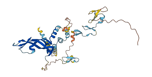 VEGFD 3D structure