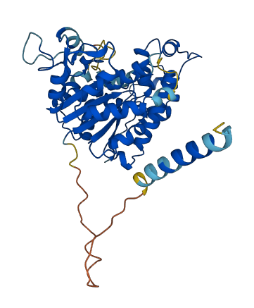 CHST1 3D structure