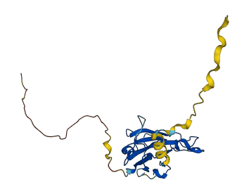 EFNA2 3D structure