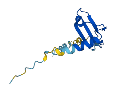 CXCL13 3D structure