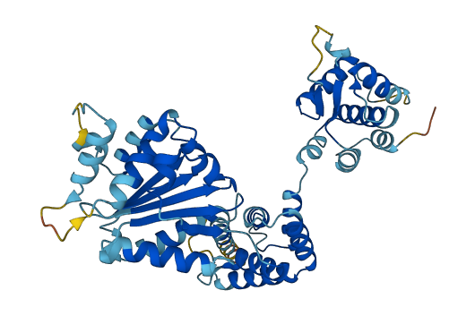 ORC4 3D structure