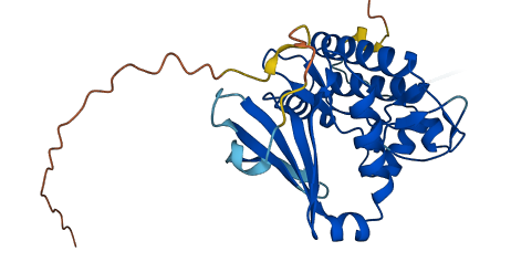 PRKY 3D structure