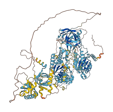 PEX1 3D structure