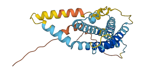 Prl7a1 3D structure