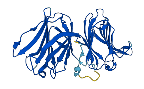 Lgals6 3D structure