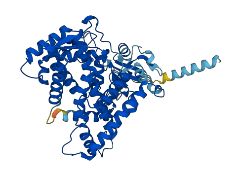 Cyp2b19 3D structure