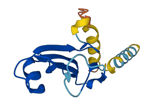 Cd59a 3D structure