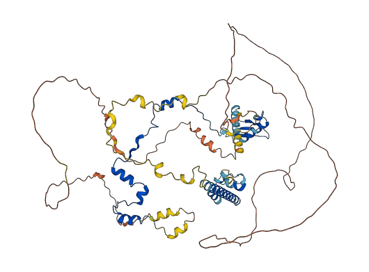 RAD21 3D structure