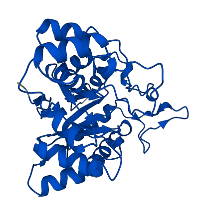 AKR1B10 3D structure