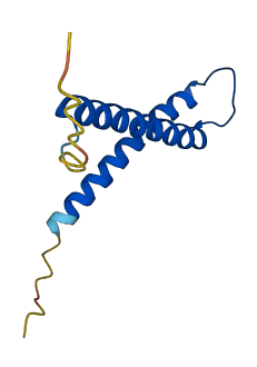 TIMM8A 3D structure