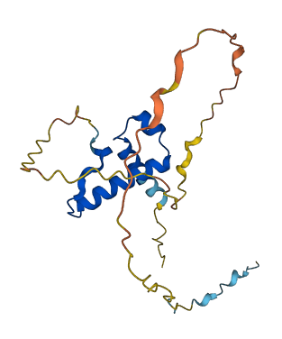 SSX4 3D structure