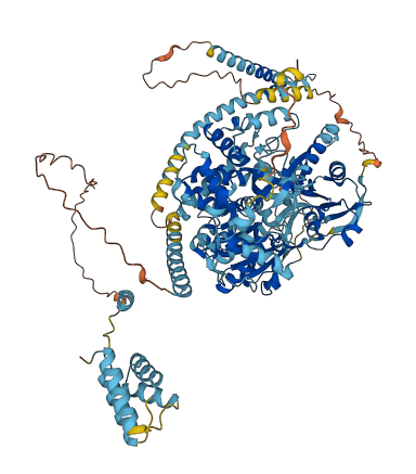 DHX16 3D structure