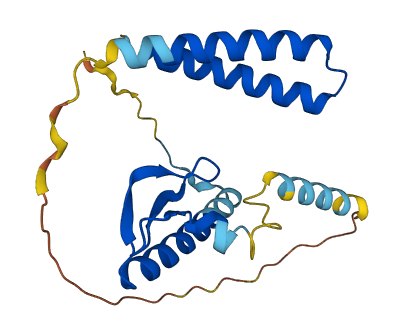 ZNRD2 3D structure