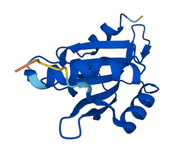 GMFG 3D structure