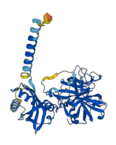 TMPRSS11D 3D structure