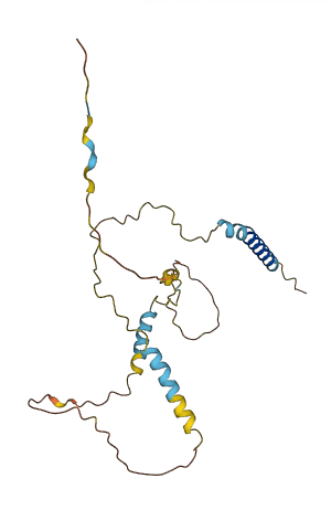 BNIP3L 3D structure