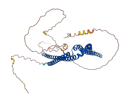 SH3BP5 3D structure