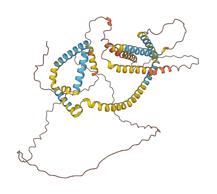 PLIN1 3D structure