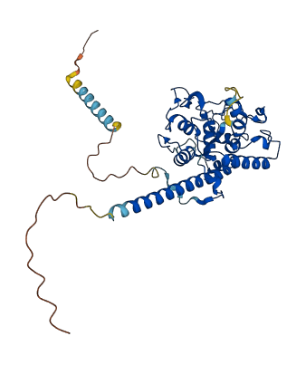 HS6ST1 3D structure