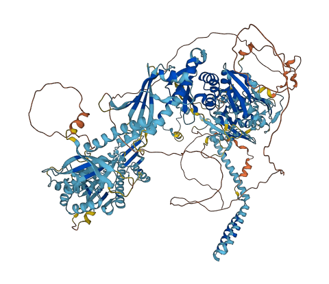 MED14 3D structure