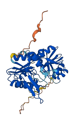 PRPSAP2 3D structure
