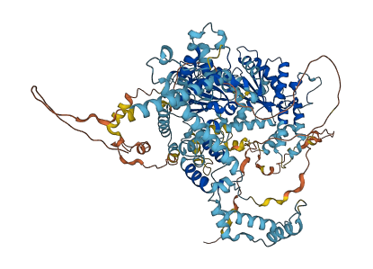 SMARCA5 3D structure