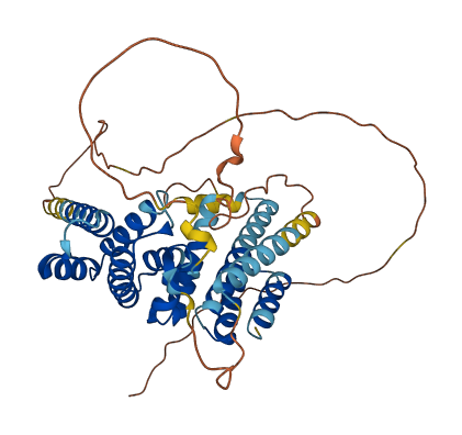 KIAA0513 3D structure