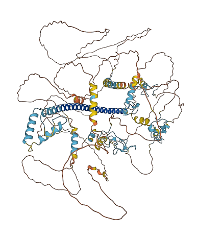 ST18 3D structure