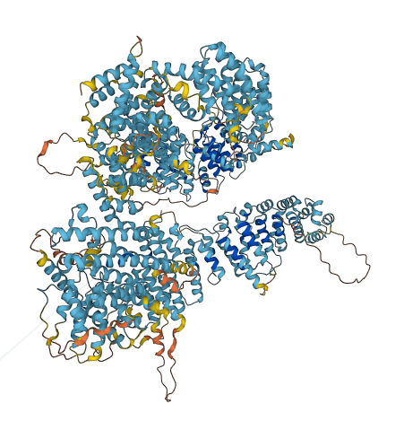 URB1 3D structure