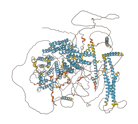 ZFC3H1 3D structure