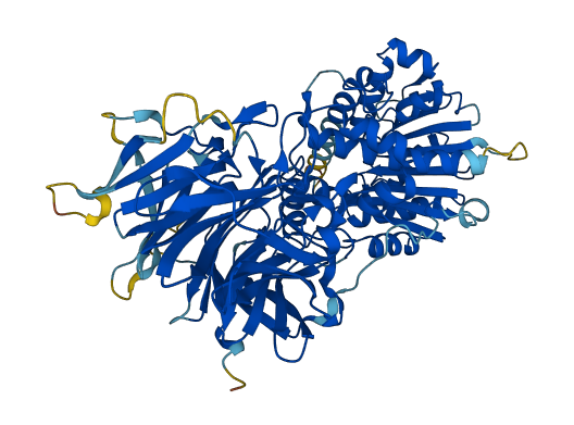 LCMT2 3D structure